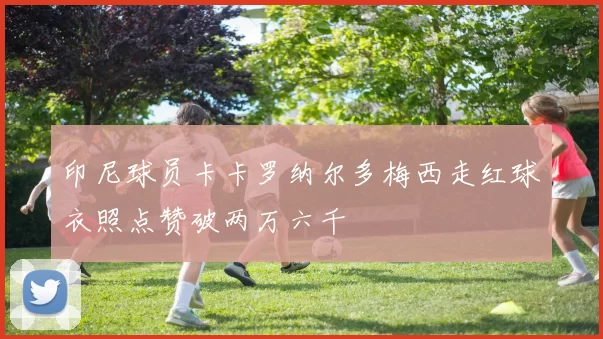 印尼球员卡卡罗纳尔多梅西走红球衣照点赞破两万六千