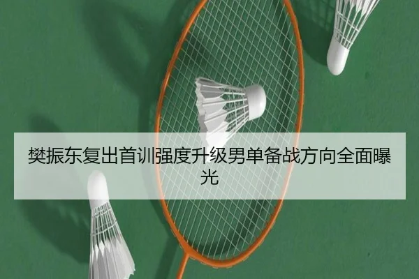 樊振东复出首训强度升级男单备战方向全面曝光（MILANSPORT）